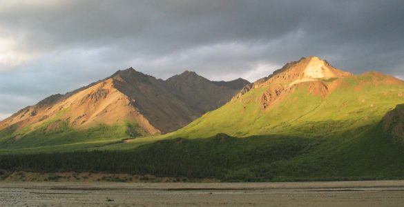 "Toklat View", Denali National Park & Preserve. Source: National Park Service, 2010, public domain.