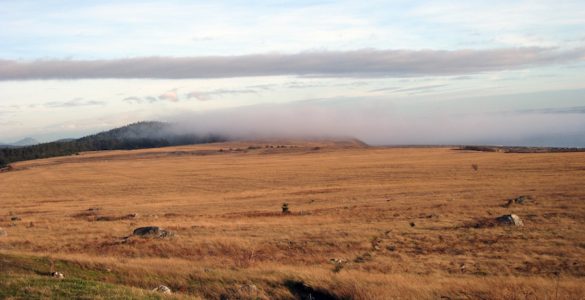 "Prairie Fog at San Juan Island National Historical Park". Credit: National Park Service, 2010, public domain.