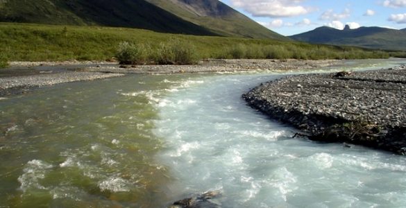 "Merging Waters". A glacial stream merges with a clear stream in the Noatak River drainage. Credit: Gates Of The Arctic National Park & Preserve, National Park Service, public domain.