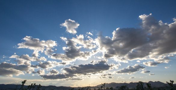 "Joshua Tree Landscape Clouds". Credit: Joshua Tree National Park, National Park Service, public domain.