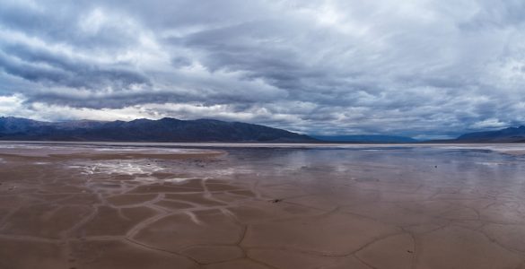 "After Rain". Credit: NPS / Kurt Moses, Death Valley National Park. Public domain