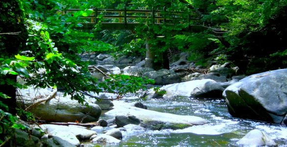 "Rapids of Rock Creek near Rapids Bridge". Credit: Rock Creek Park (National Park Service), public domain.