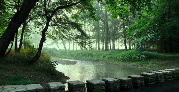 Misty forest setting with a stream that includes a rock walkway.