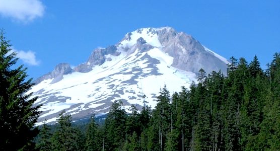 Snow covered volcano in the distance, with evergreen trees in the foreground and blue skies.