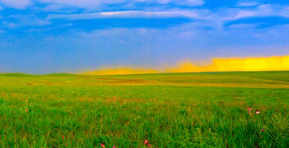 Rain clouds in sky and large field of tallgrass and wildflowers in foreground