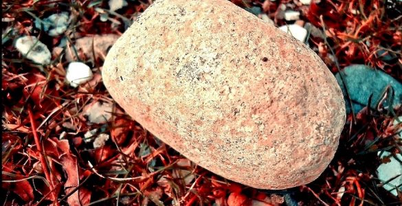 A rock on a bed of red leaves.