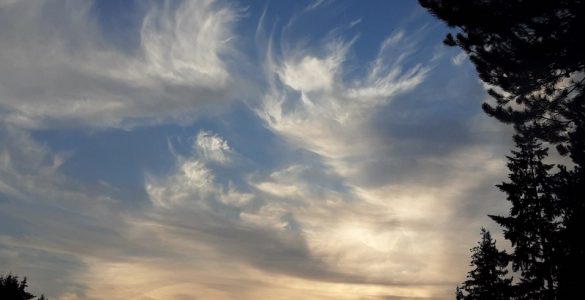 Swirly white clouds above trees at dusk.