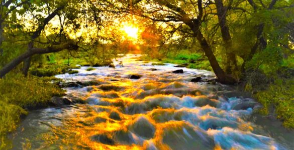 A creek with water running toward the camera's perspective. The sunset is occurring towards the direction of the head of the creek. The creek has many rocks in it, make the water run as rapid. The land area around is grassy with trees that are filtering the sunset. The sun is bright yellow and reflects on the rapids.