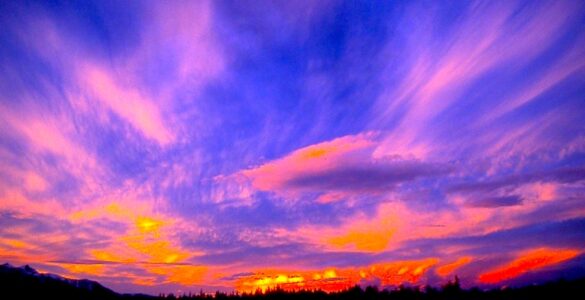 A sunset scene. At the bottom is a landscape of trees in the distance, showing only their profile. The sky is blue, yellow, orange and pink, and composes most of the photo.