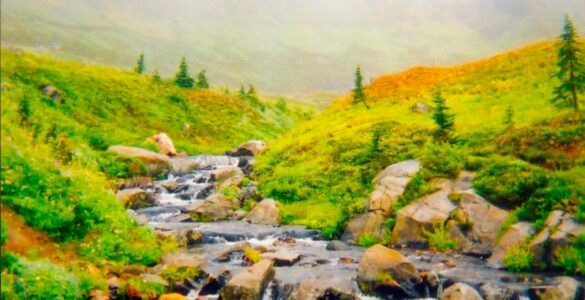 A mid-sized creek flowing down the grassy and hilly side of a large mountain. The creek has rocks in it, and small waterfalls that form as a result of the rocks and elevation decrease. The land surrounding the creek is covered by short shrubbery that is green and yellow. There are sparsely located evergreen trees. In the background is a ridge obscured by mist or fog.