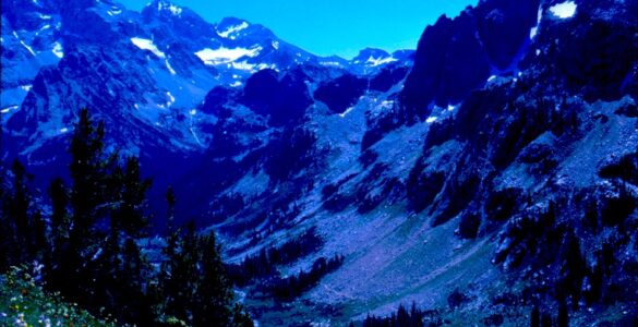 A canyon with minimal vegetation and tiny bits of snow near the valley mountain peaks. In the foreground are wild flowers and a few evergreen trees. The sky is blue.