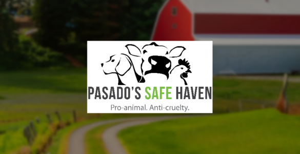 The words "Pasado's Safe Haven - Pro-animal, Anti-Cruelty" with a cartoon like image of a dog, cow and chicken. The background is a red barn and green grass with a road.