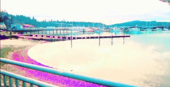 A view of a calm waterfront marina, including a dock with many parked boats behind it. The terrain in the background is hilly.