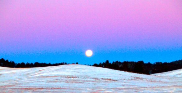 In the foreground is a landscape with flowing hills and no vegetation. The hills are covered in a shallow blanket of snow. Behind the hills are a line of trees, about a quarter mile away. The sky shows a bright moon about to set on the horizon. The sky is blue and purple.