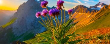 Flowering plant in foreground with a steep, mountainous slope in the background. Blue sky with white clouds.