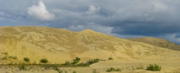 A sand dune with intricate wind-carved patterns, with desert brush in the foreground. The sky above is cloudy.