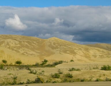 A sand dune with intricate wind-carved patterns, with desert brush in the foreground. The sky above is cloudy.