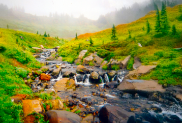 A foggy mountainside with a creek flowing down, featuring a small waterfall. The landscape is primarily covered in green grass, with a few scattered trees.