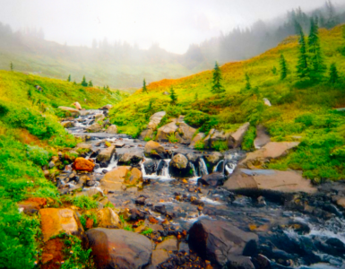 A foggy mountainside with a creek flowing down, featuring a small waterfall. The landscape is primarily covered in green grass, with a few scattered trees.