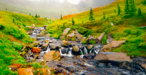 A foggy mountainside with a creek flowing down, featuring a small waterfall. The landscape is primarily covered in green grass, with a few scattered trees.