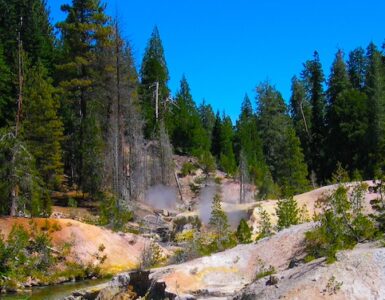 A creek flowing through a rocky hydrothermal area with steam rising, surrounded by evergreen trees.