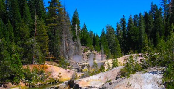 A creek flowing through a rocky hydrothermal area with steam rising, surrounded by evergreen trees.