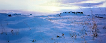 A snowy landscape with rock formations in the distance and brown, grass-like plants in the foreground. The sky is filled with colorful clouds lit by the sun.