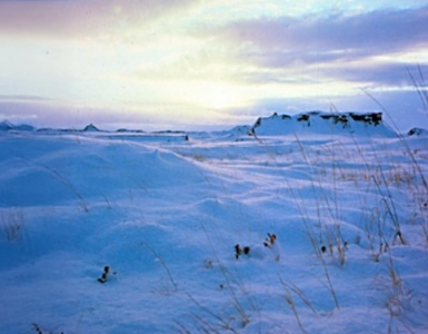 A snowy landscape with rock formations in the distance and brown, grass-like plants in the foreground. The sky is filled with colorful clouds lit by the sun.