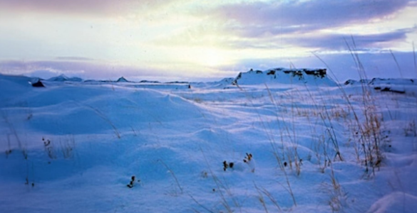 A snowy landscape with rock formations in the distance and brown, grass-like plants in the foreground. The sky is filled with colorful clouds lit by the sun.