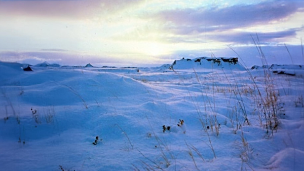 A snowy landscape with rock formations in the distance and brown, grass-like plants in the foreground. The sky is filled with colorful clouds lit by the sun.