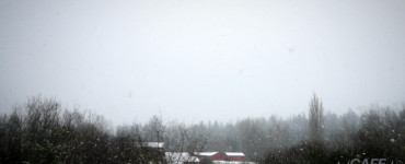 Snow gently falls on a distant farm, surrounded by bare deciduous trees. The farm features several red buildings with snow-covered roofs, under a winter-gray sky.