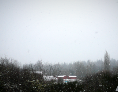 Snow gently falls on a distant farm, surrounded by bare deciduous trees. The farm features several red buildings with snow-covered roofs, under a winter-gray sky.