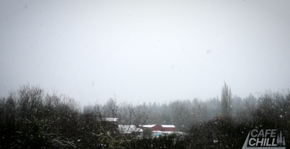 Snow gently falls on a distant farm, surrounded by bare deciduous trees. The farm features several red buildings with snow-covered roofs, under a winter-gray sky.